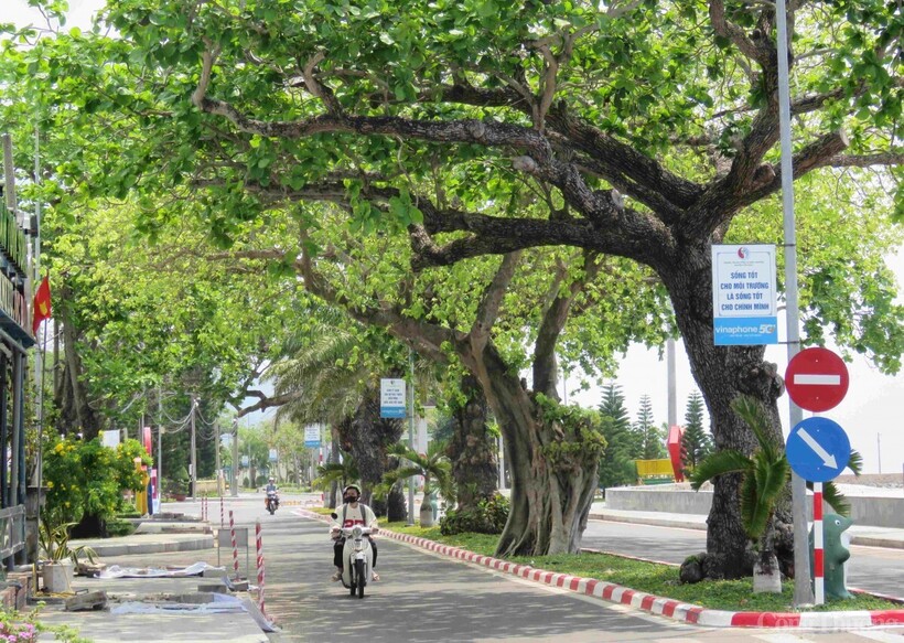 Một góc ở Côn Đảo. Ảnh: Nguyễn Ngọc