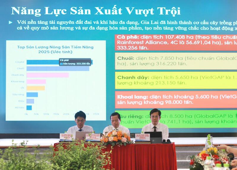 Các đại biểu chủ trì hội nghị. Ảnh: Hiền Mai