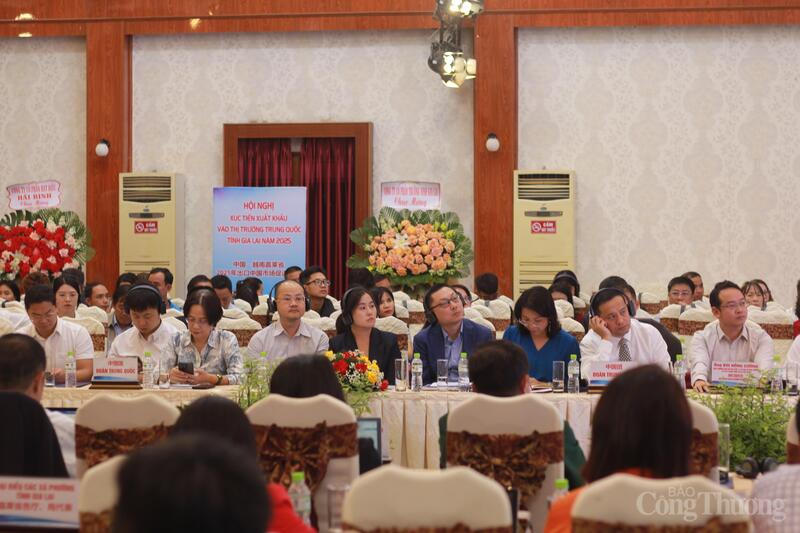 Tham dự hội nghị có 30 đại biểu là cán bộ Cục Dữ liệu lớn tỉnh Quảng Tây, các doanh nghiệp kinh doanh xuất nhập khẩu đến từ Trung Quốc