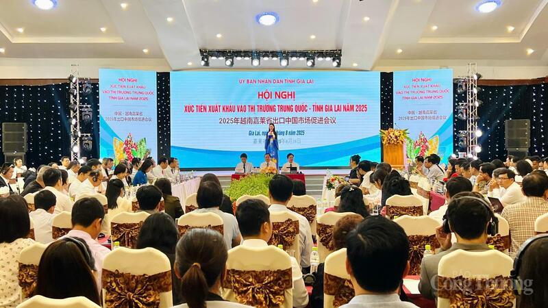 Quang cảnh Hội nghị xúc tiến xuất khẩu vào thị trường Trung Quốc năm 2025