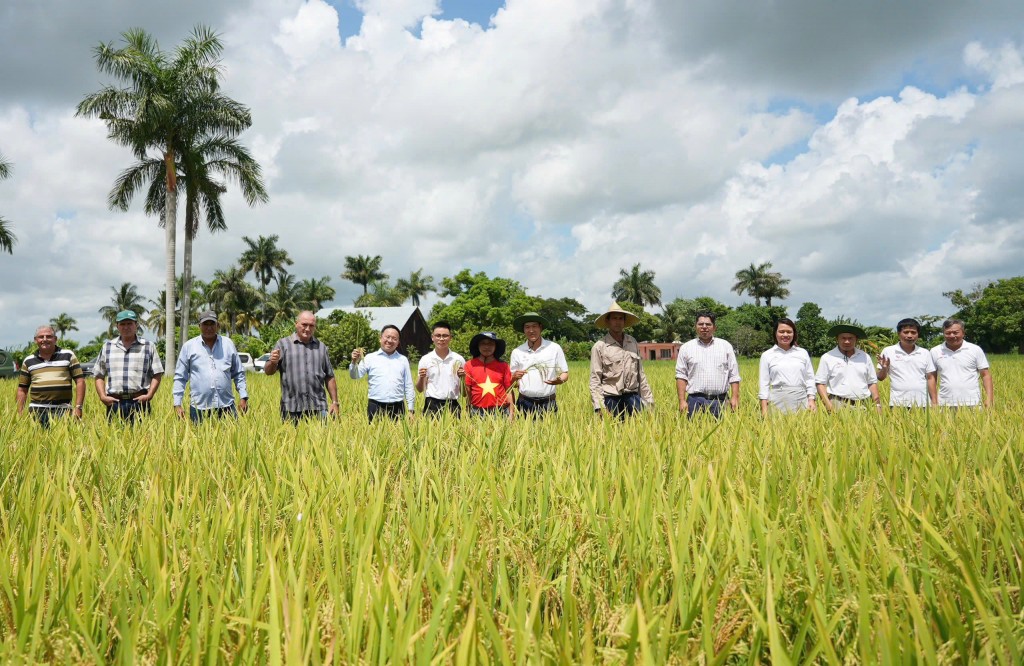 “Hạt giống hạnh phúc” nghĩa tình giữa Việt Nam - Cu Ba