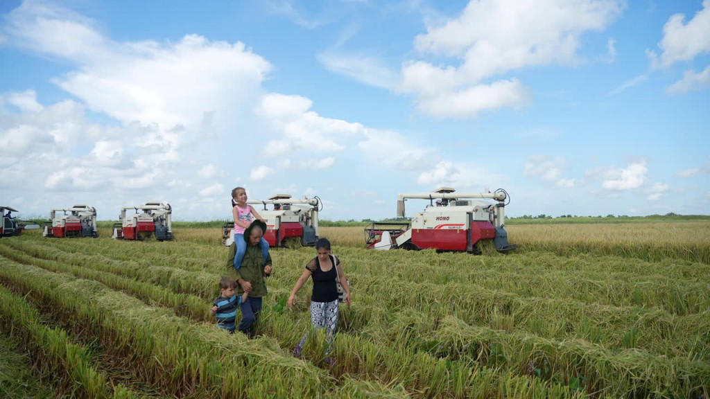 “Hạt giống hạnh phúc” nghĩa tình giữa Việt Nam - Cu Ba