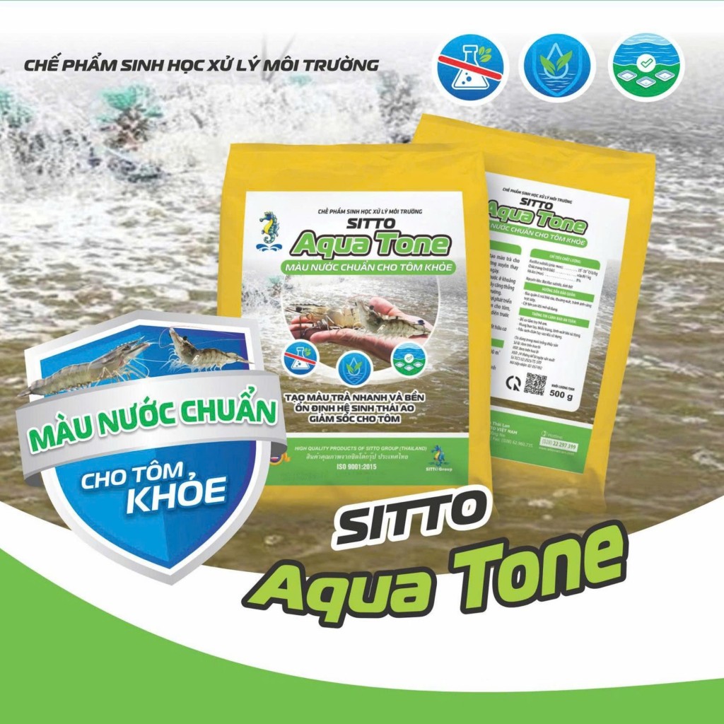 Màu nước chuẩn - Giải pháp bền vững cho ao tôm khoẻ Màu nước chuẩn - Giải pháp bền vững cho ao tôm khoẻ