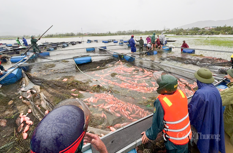 Trước những hậu quả của bão số 10, Chủ tịch UBND tỉnh Hà Tĩnh Võ Trọng Hải yêu cầu sửa chữa ngay các trường học, cơ sở y tế bị tốc mái, hư hỏng do bão để không làm gián đoạn việc học tập của học sinh và việc khám chữa bệnh của người dân Hà Tĩnh. Ảnh: Phúc Sơn.