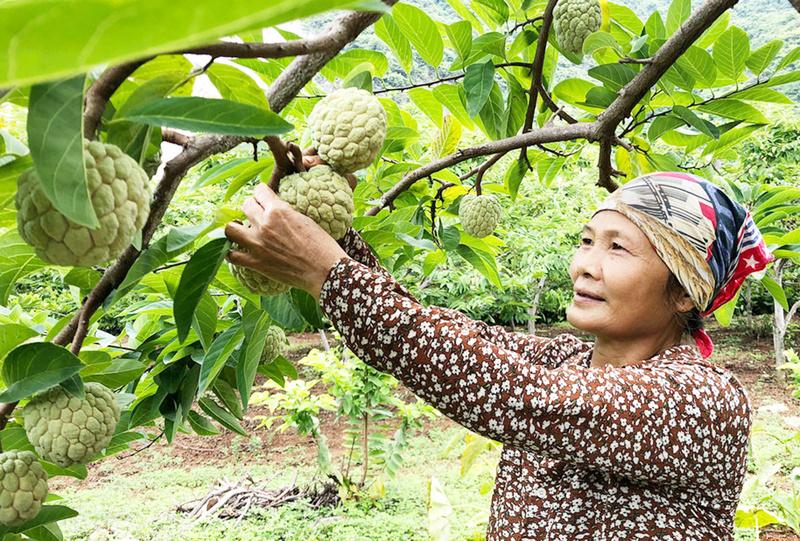 Thương mại điện tử đưa na Tràng Xá đến gần hơn người tiêu dùng.