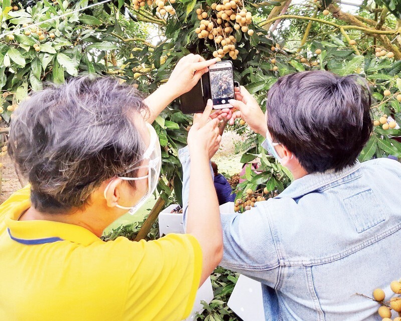 Hướng dẫn người nông dân đưa các mặt hàng nông sản lên sàn thương mại điện tử.