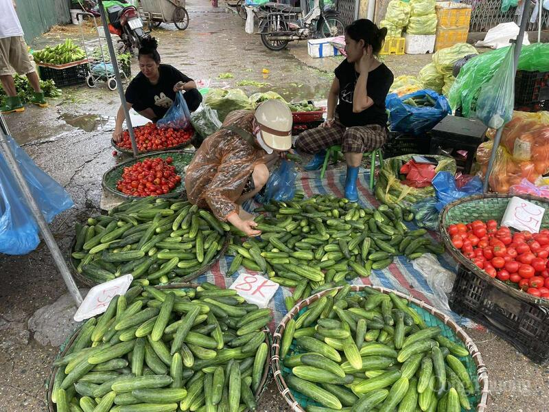 Dưa chuột thái thành món salad cũng là một lựa chọn cho ngày khan hiếm rau.