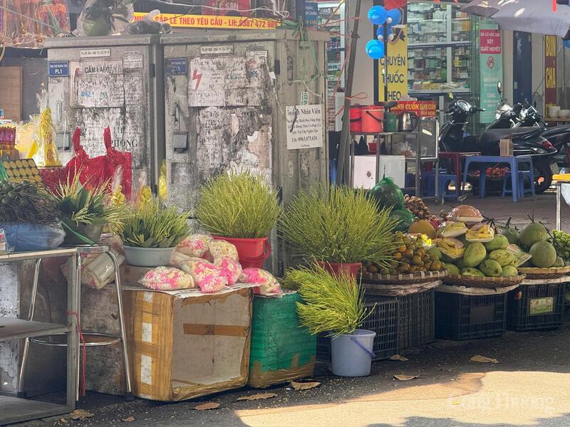 Hoa cau trở thành sự lựa chọn ưu tiên cho dịp rằm tháng Tám.