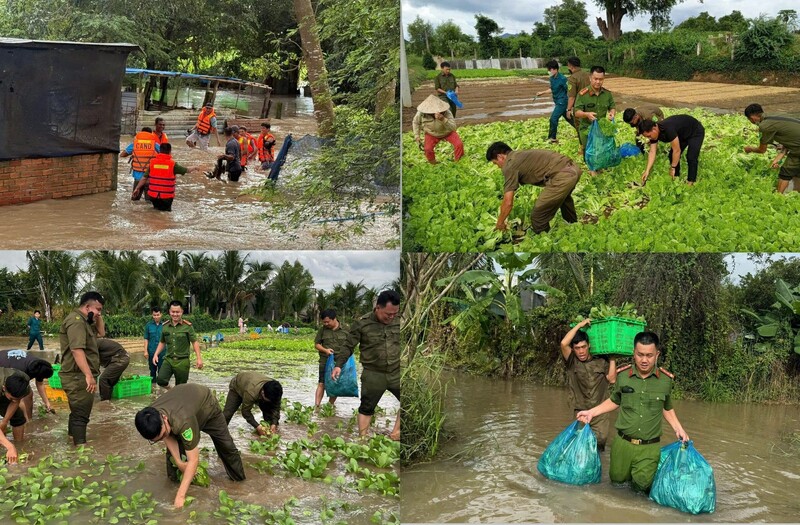 Hơn 5.600 ha cây trồng của người dân bị ảnh hưởng. Ảnh: Công an cung cấp
