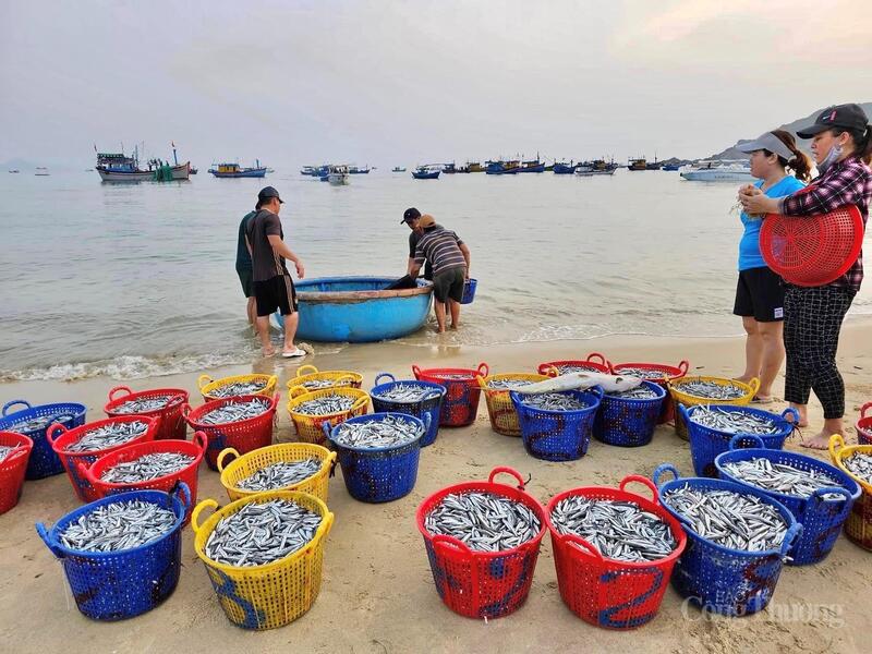 Người dân tuyệt đối không được chủ quan, lơ là; phải chuyển ngay từ ứng phó theo dự báo thông thường sang mức ứng phó cao hơn một cấp.