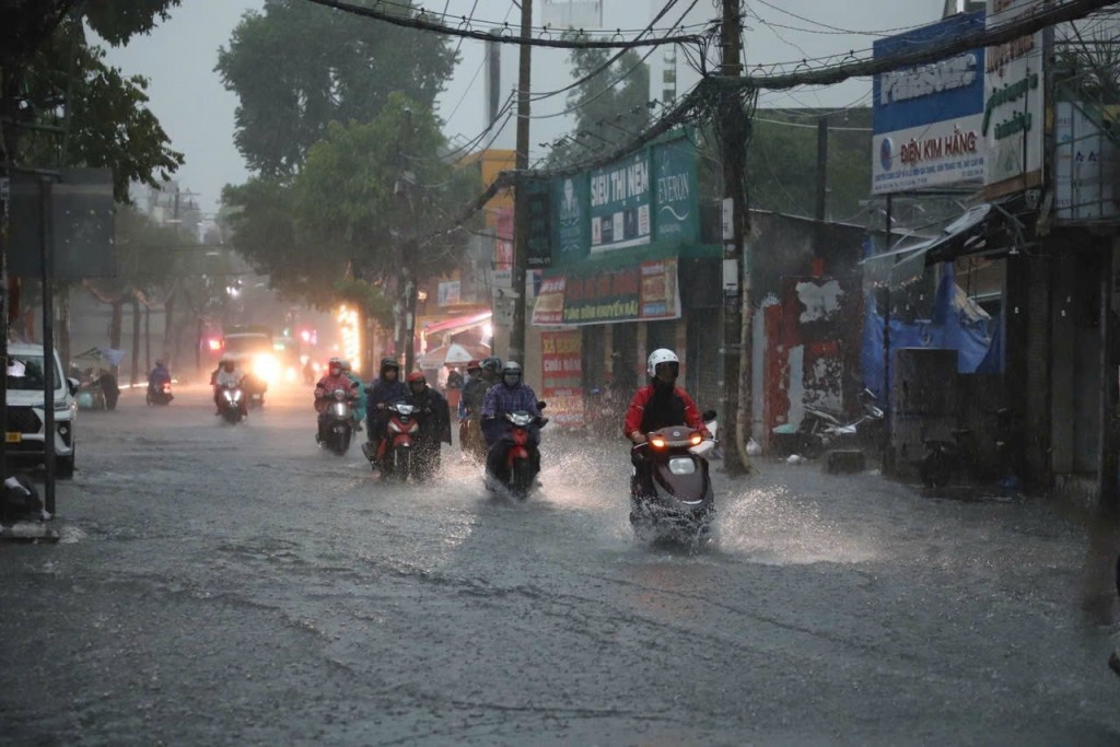 Ảnh minh hoạ Ảnh minh hoạ