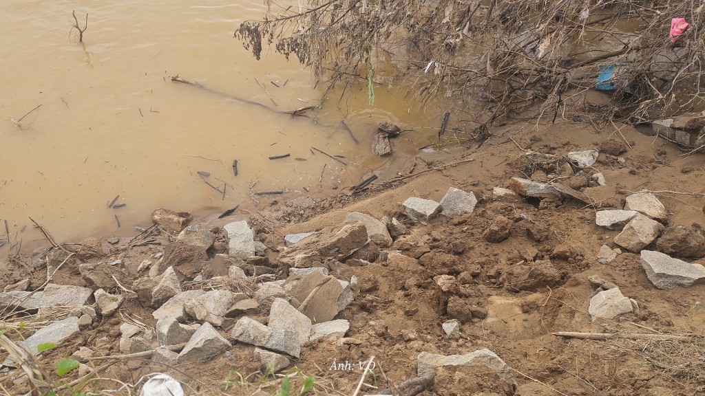 Lũ cuốn trôi hàng chục hecta đất ven Thu Bồn, người dân hốt hoảng