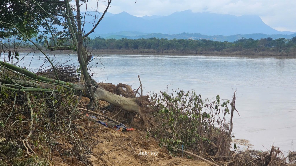 Lũ cuốn trôi hàng chục hecta đất ven Thu Bồn, người dân hốt hoảng