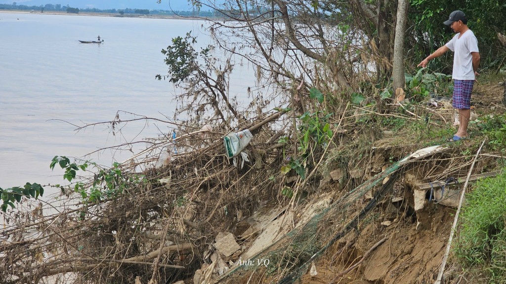 Lũ cuốn trôi hàng chục hecta đất ven Thu Bồn, người dân hốt hoảng