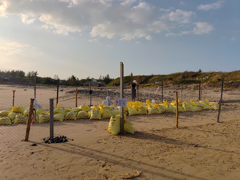 Ngành điện đang khẩn trương lập phương án khắc phục triệt để sự cố và báo cáo UBND tỉnh Quảng Ngãi để triển khai trong thời gian sớm nhất.