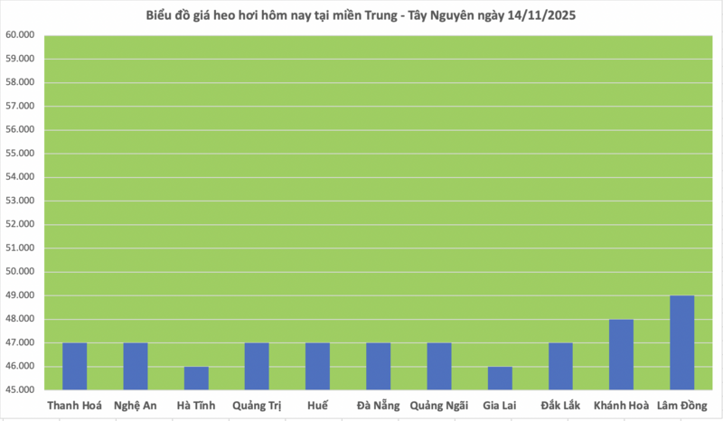 Giá heo hơi hôm nay 14/11/2025: Chững lại trên cả nước - 2