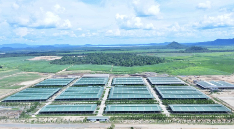 Dự án Trang trại chăn nuôi bò thịt Ia Púch.