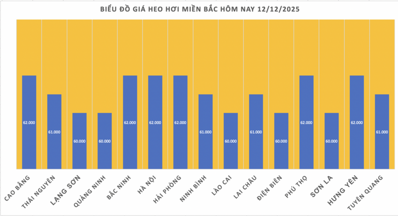 Giá heo hơi hôm nay 12/12/2025: Tăng đồng loạt, lập đỉnh mới - 1