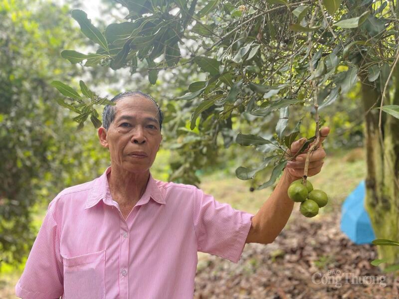 Ông Nguyễn Mạnh Hùng, Giám đốc Công ty Hoàng Liên. Ảnh: Ngọc Hoa