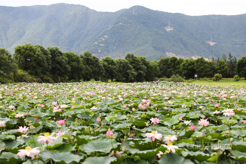 Ban Quản lý Khu kinh tế tỉnh yêu cầu các dự án phải lắp đặt hệ thống quan trắc môi trường tự động, liên tục và truyền dữ liệu trực tiếp về cơ quan quản lý 24/7 để đảm bảo kiểm soát tuyệt đối. Ảnh: FHS Hà Tĩnh