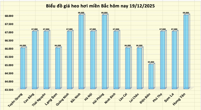 Giá heo hơi hôm nay 19/12/2025: Miền Bắc lập đỉnh mới 68.000 đồng/kg - 1