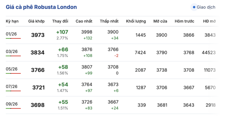 Giá cà phê hôm nay 24/12/2025: Tăng mạnh 1.000 - 1.500 đồng/kg - 1