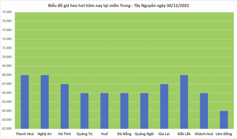 Giá heo hơi hôm nay 30/12/2025: Biến động trái chiều - 2