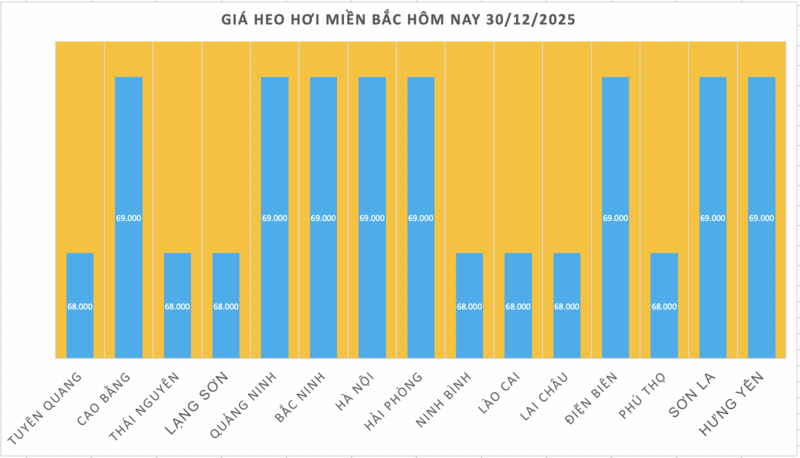 Giá heo hơi hôm nay 30/12/2025: Biến động trái chiều - 1