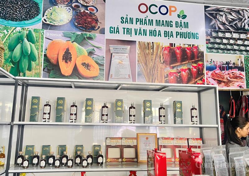 Gia Lai: Khai trương mô hình thương mại hai chiều vùng cao - 4