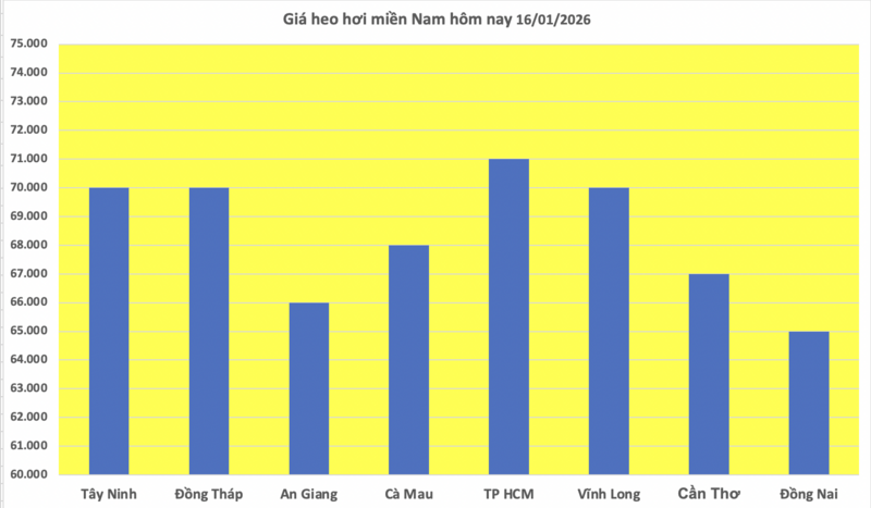 Giá heo hơi hôm nay 16/1/2026: Miền Trung, miền Nam tiếp tục tăng - 3