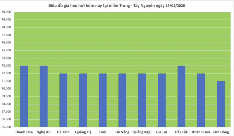 Giá heo hơi hôm nay 19/1/2026: Tăng đồng loạt tại miền Trung, miền Nam - 2