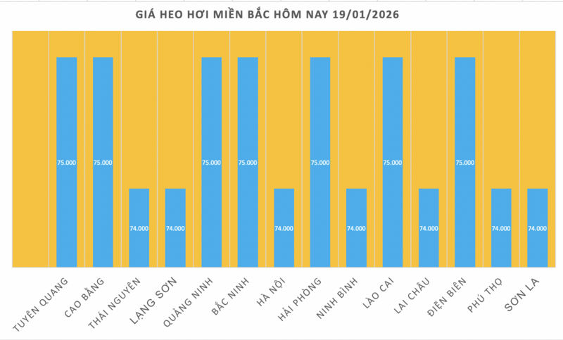 Giá heo hơi hôm nay 19/1/2026: Tăng đồng loạt tại miền Trung, miền Nam - 1