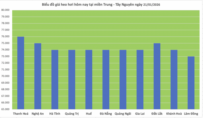 Giá heo hơi hôm nay 21/1/2026: Tiếp đà tăng, lập 'đỉnh' mới - 2