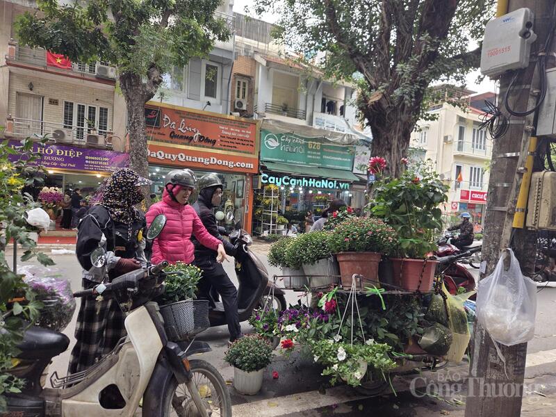 Hoa, cây cảnh bán dạo thường rẻ hơn khoảng 10 - 20% so với trong cửa hàng.