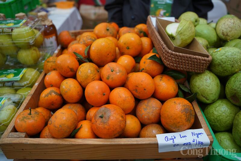 Đặc sản vùng miền ‘hút khách’ tại Hội chợ Mùa Xuân năm 2026 - 13