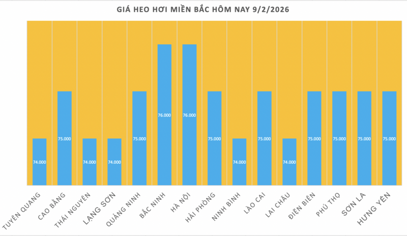 Giá heo hơi hôm nay 9/2/2026: Tiếp tục giảm nhiều nơi - 1