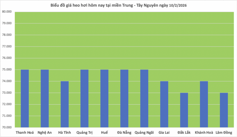 Giá heo hơi hôm nay 10/2/2026: Tiếp đà giảm diện rộng - 2