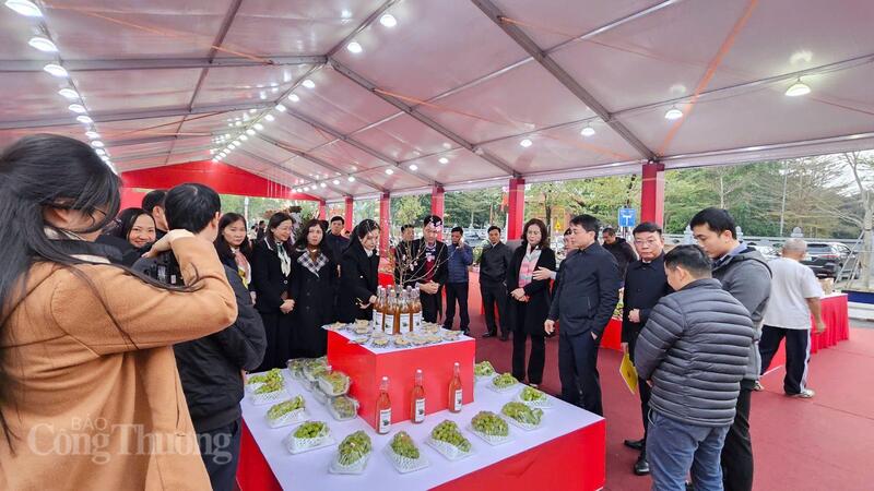 Các đại biểu thăm quan các gian hàng tại xã Thạch Thất.