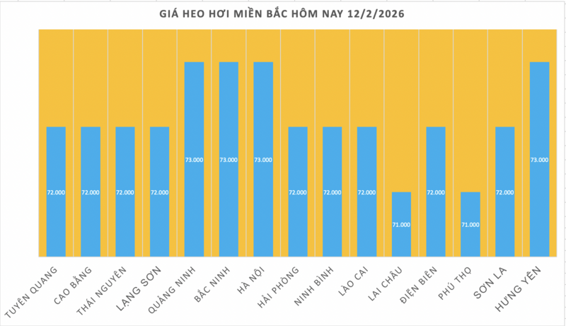 Giá heo hơi hôm nay 12/2/2026: Tiếp đà giảm đồng loạt trên toàn quốc - 1