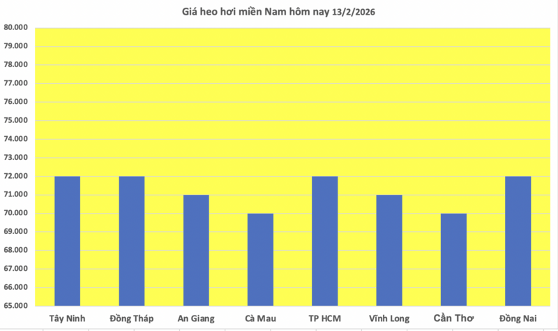 Giá heo hơi hôm nay 13/2/2026: Thị trường trầm lắng - 3