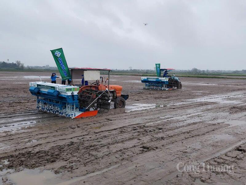 Việc triển khai các mô hình canh tác lúa hiệu quả cao, phát thải thấp tại Đồng bằng sông Hồng là bước cụ thể hóa Đề án sản xuất giảm phát thải trong lĩnh vực trồng trọt. Ảnh: N.H