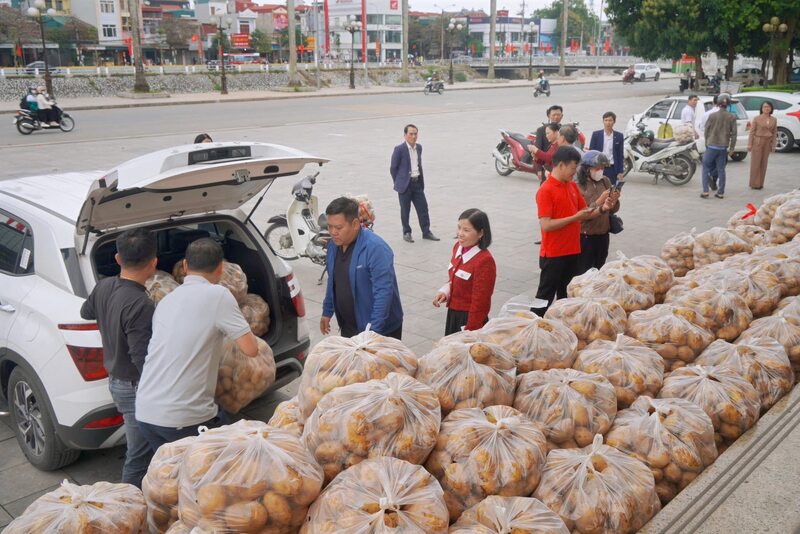 Sau phiên livestream của lãnh đạo, xã Vũ Thư đã bán được 4,5 tấn khoai tây giống Marabel. Ảnh: Xã Vũ Thư