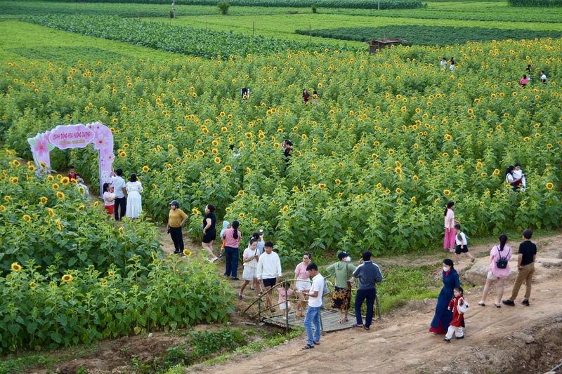 Đây là mô hình thí điểm phát triển du lịch nông thôn do UBND xã Vu Gia giao cho Hợp tác xã Nông nghiệp Đại Minh triển khai thực hiện. Ảnh: Ngọc Thảo