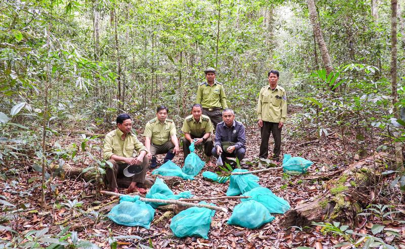Các cá thể động vật được thả sau thời gian cứu hộ, chăm sóc và đánh giá sức khỏe theo quy trình.