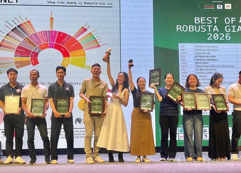 Những đơn vị có mẫu cà phê Robusta lọt top trong Chương trình “Best of Robusta Gia Lai 2026”.