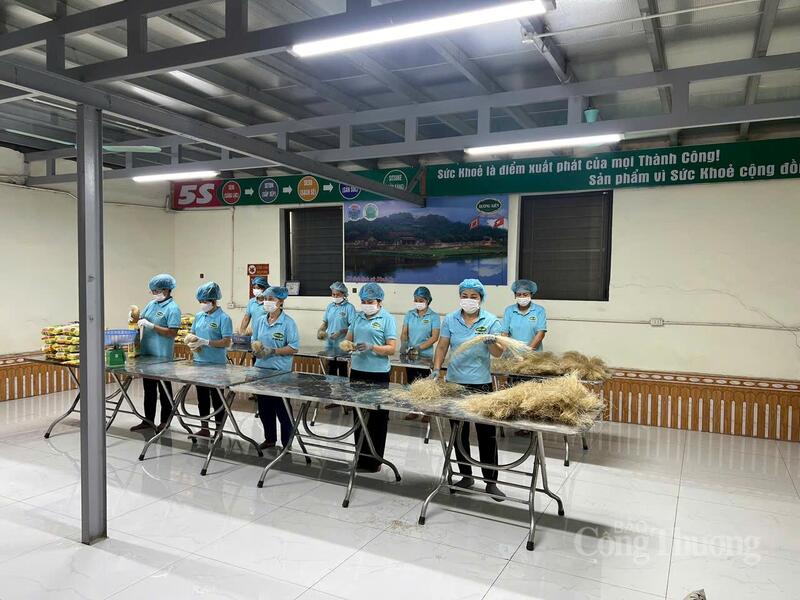 Công nhân thực hiện phân loại, đóng gói sản phẩm miến làng So theo quy trình đảm bảo vệ sinh an toàn thực phẩm trước khi đưa ra thị trường. Ảnh: Lê Hà