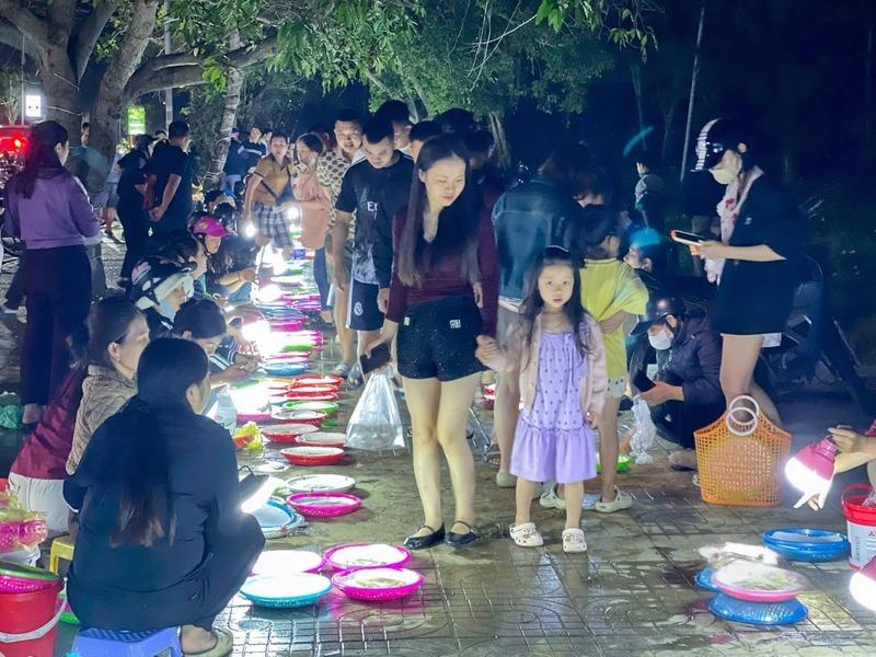 Đèn pin soi từng mớ mực lấp lánh trong đêm. Ảnh: Mai Liễu