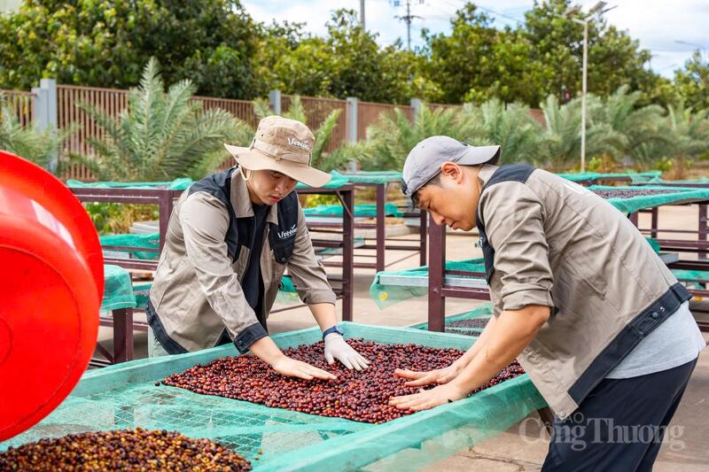 Mô hình kinh tế tuần hoàn cũng được đặt làm trục xuyên suốt, kết nối từ sản xuất cà phê đến phân bón hữu cơ, năng lượng xanh và du lịch trải nghiệm.