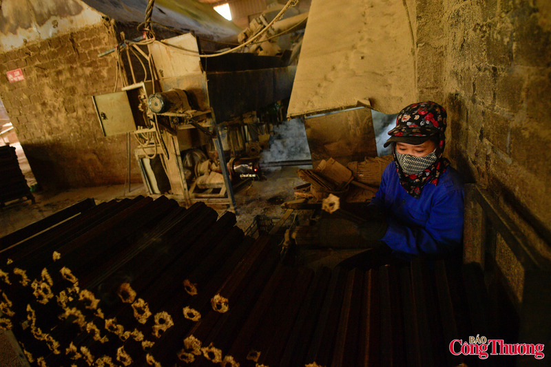 Được biết, sản phẩm than này có nhiệt lượng từ 7.000 đến 8.500 calo/kg. Thời gian cháy của 1kg than này có thể kéo dài 200 phút, khi cháy không có khói và mùi. Hàm lượng carbon trong than sinh học có thể đạt từ 75 đến 85%.