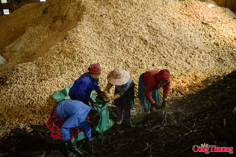 Lượng lõi ngô này mới được người dân sử dụng một phần làm chất đốt, một phần rất nhỏ được dùng để trồng nấm, còn lại chủ yếu thải bỏ ra ngoài vệ đường, dòng suối gây ô nhiễm môi trường.
